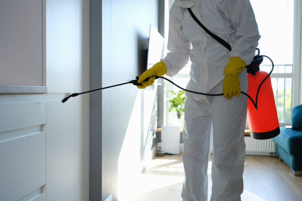 Best Local Mold Removal Service  in Escanaba, MI