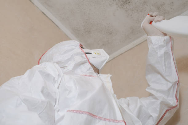 Best Residential Mold Removal  in Escanaba, MI