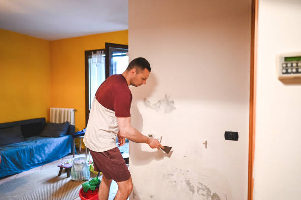 Best Mold Removal Company Near Me  in Escanaba, MI